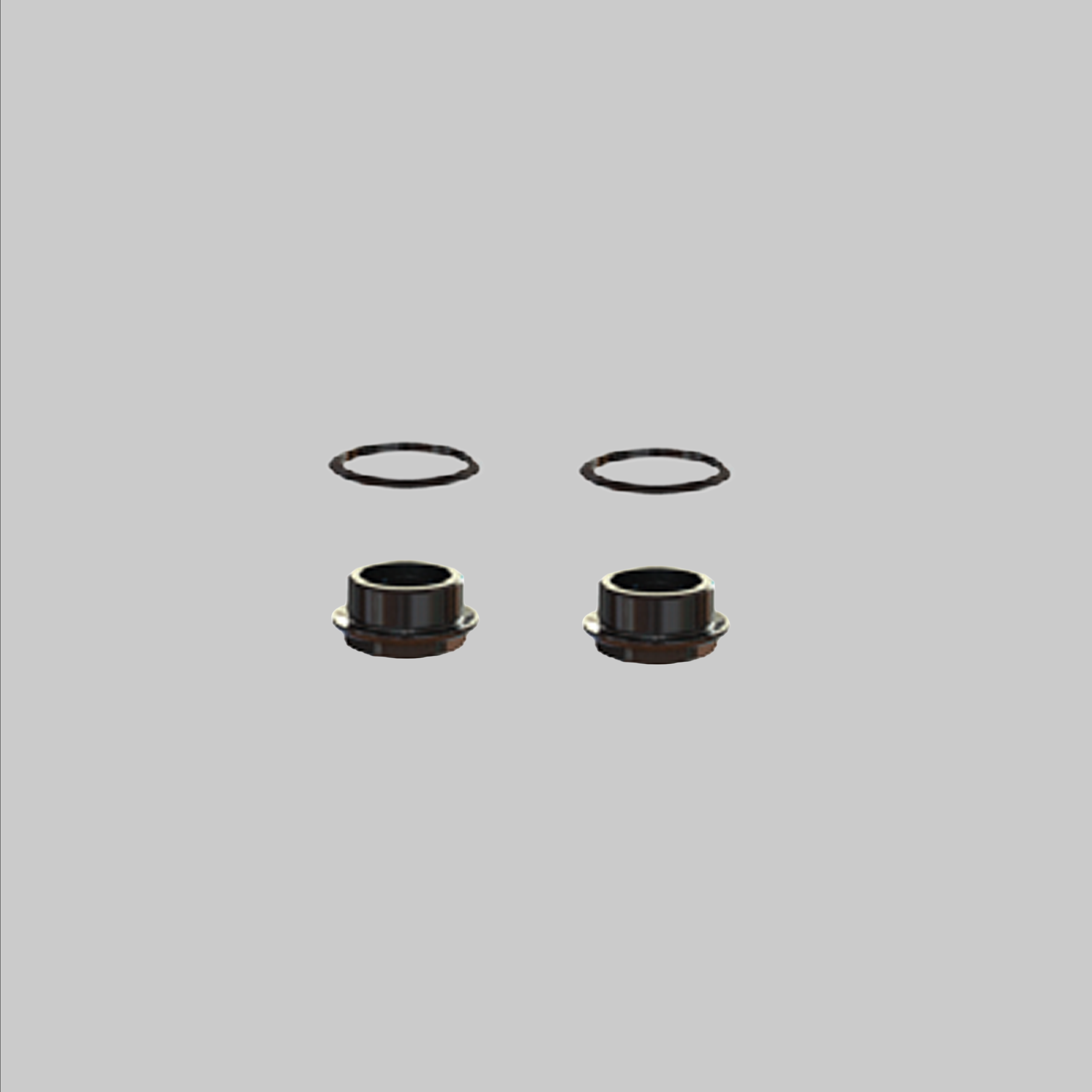 KIT 2T  2 caps, 2 gaskets  1" M